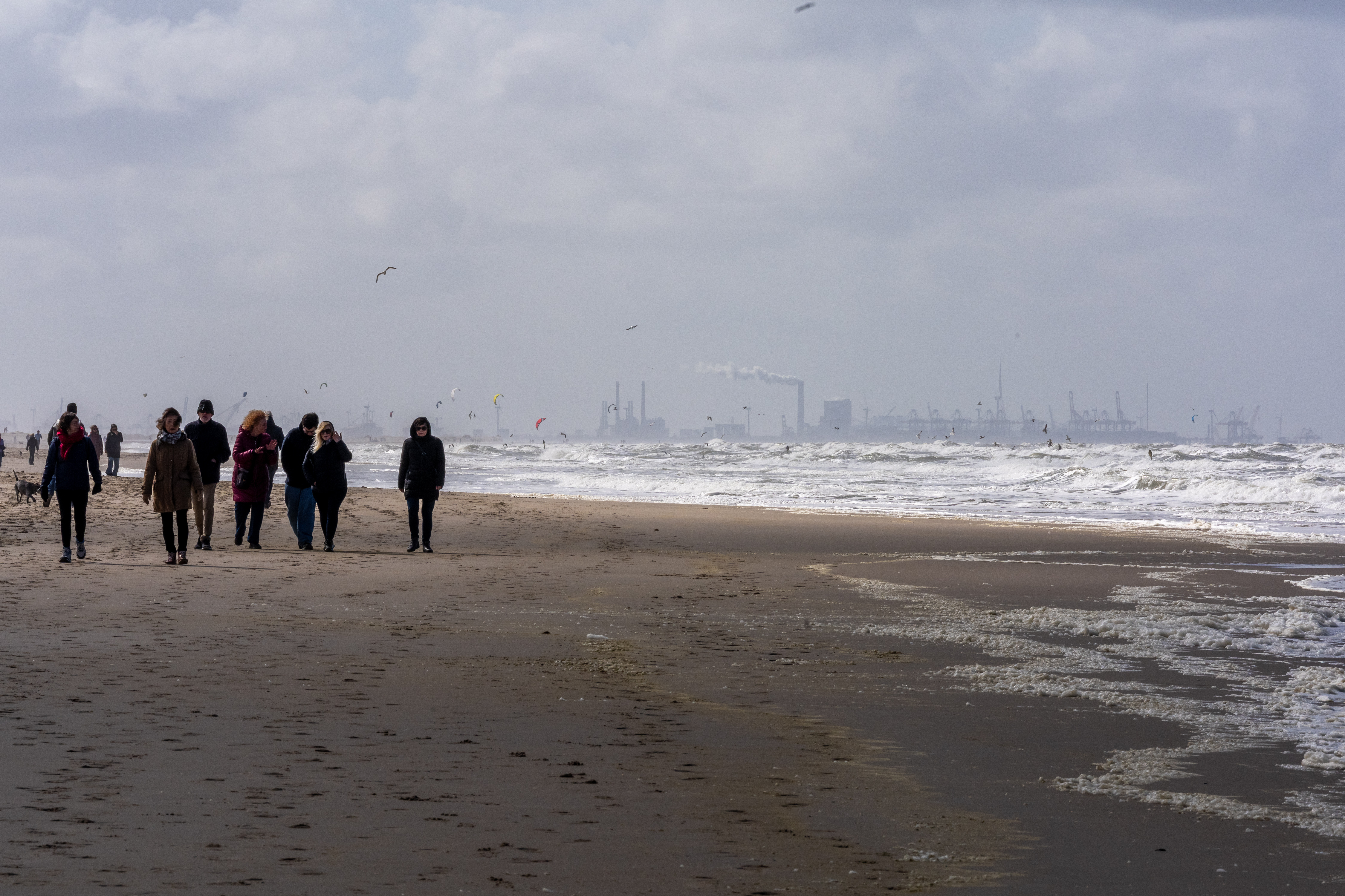 DSC00373.jpg