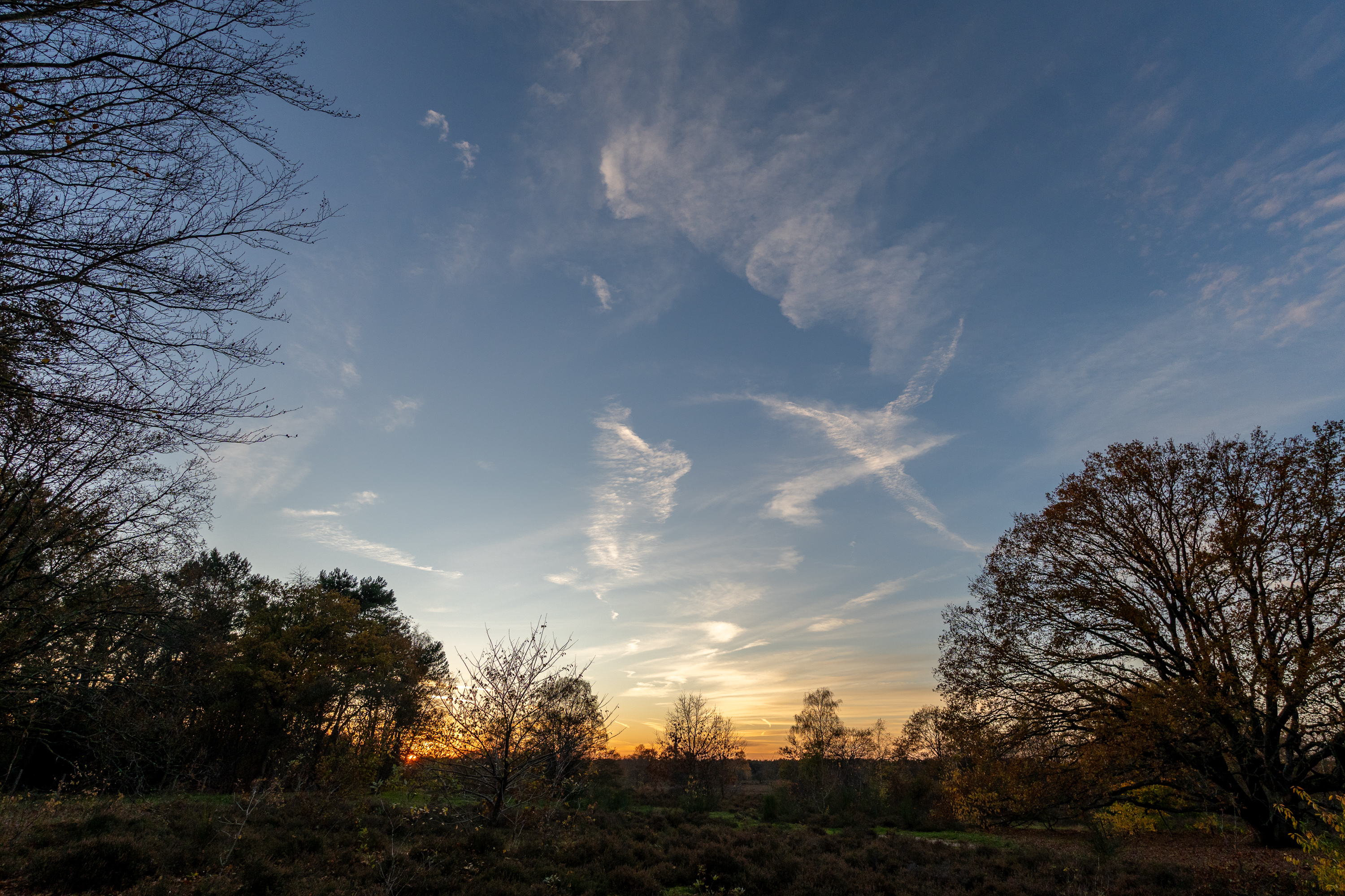 DSC06609-HDR.jpg