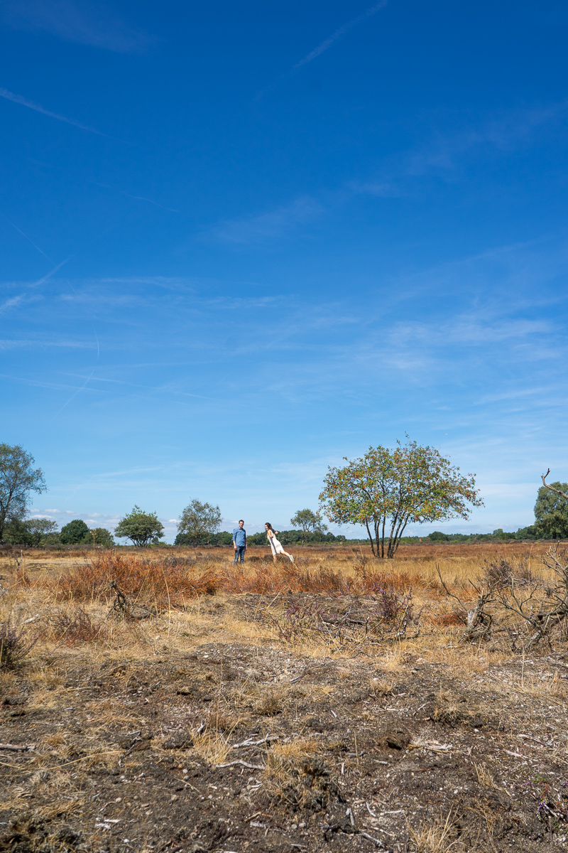 _DSC9986.jpg