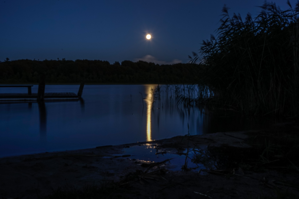 _DSC7065.jpg
