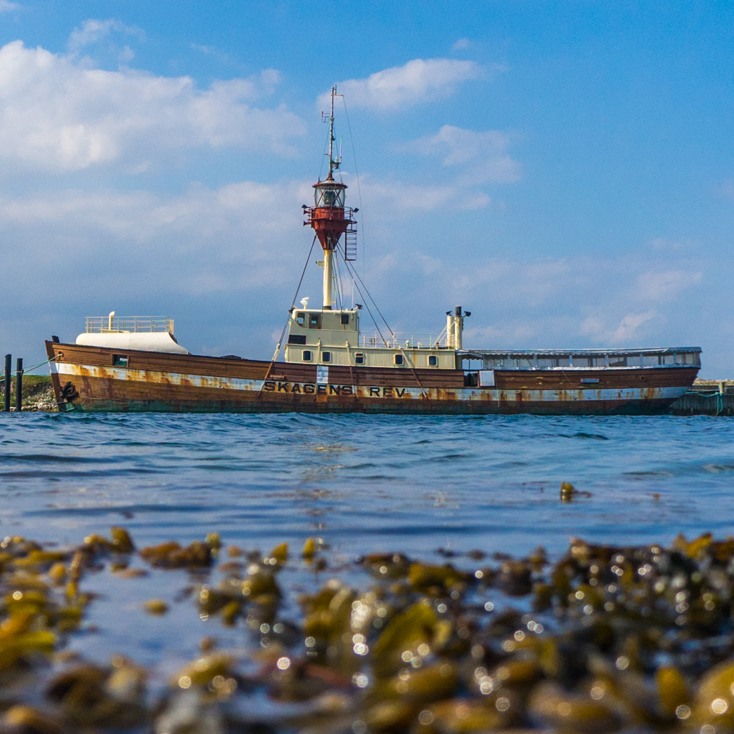 _DSC7254.jpg