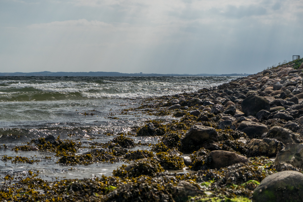 _DSC7257.jpg