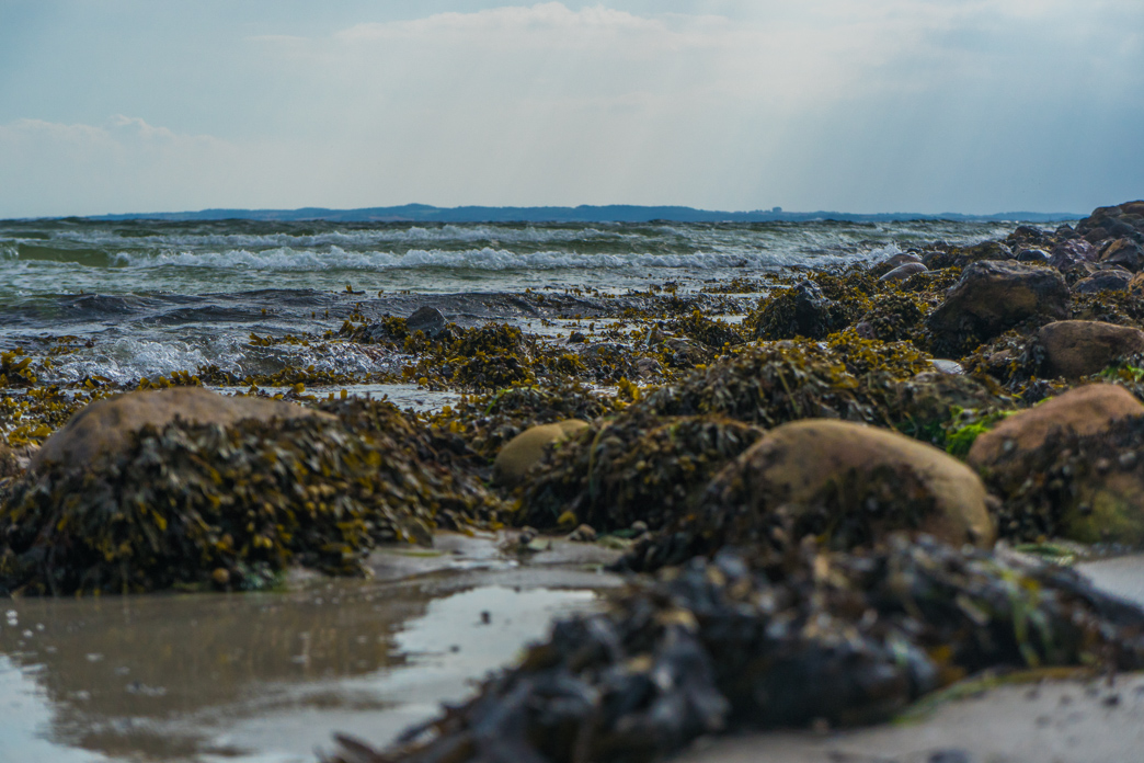 _DSC7258.jpg