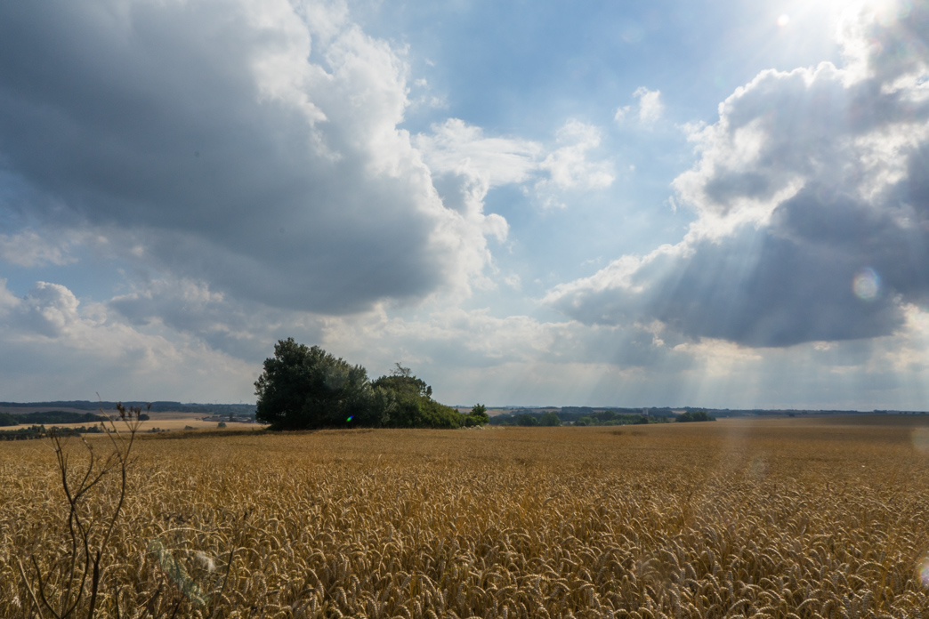 _DSC7289.jpg